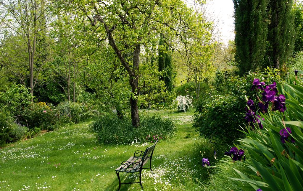 פאלאיה Appartamento Con Patio Privato E Giardino Tra Pisa E Firenze מראה חיצוני תמונה
